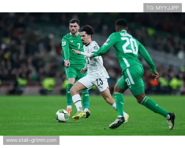 葡萄牙世界杯预选赛直播频道推荐，高清流畅观看体验全方位解析